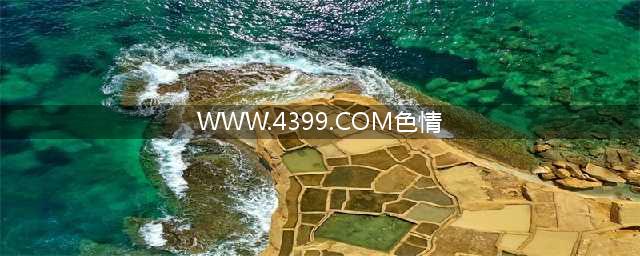 不容错过的国外黄色系网站大全(WWW.4399.COM色情)