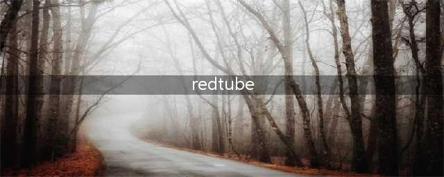 揭秘！全球最受欢迎的十大大黄网站背后不为人知的秘密(redtube)