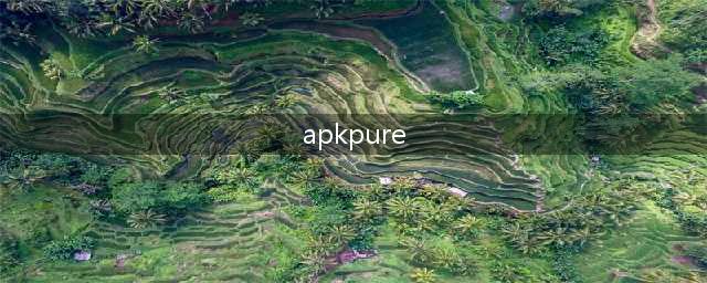 【推荐收藏】安卓开发中必备的那些神器APP(apkpure)