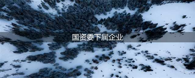 国资委直属央企名单（共97家）(国资委下属企业)