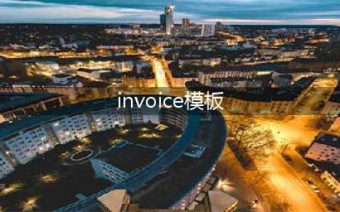 Invoice形式发票范本模板格式(invoice模板)