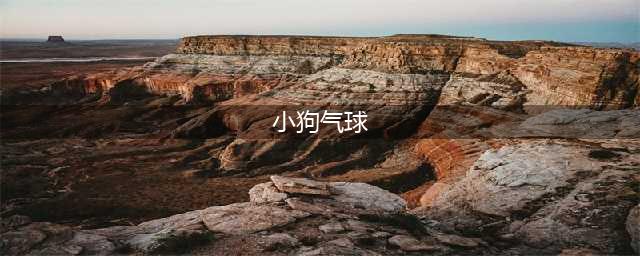 气球小狗怎么编？气球小狗造型教程图解教你长气球狗狗造型怎么编(小狗气球)