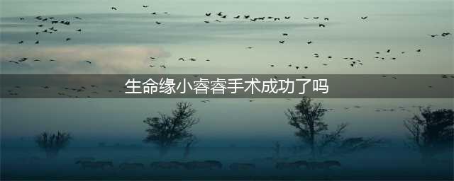 北京卫视今日18:25《生命缘》抗击新型冠状病毒特别报道——膈疝宝宝求生记(生命缘小睿睿手术成功了吗)