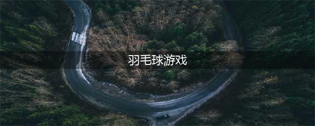 羽毛球游戏单机版下载大全2022 好玩的羽毛球游戏推荐(羽毛球游戏)