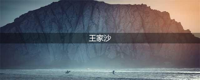 王家沙：多年未变的上海味道(王家沙)