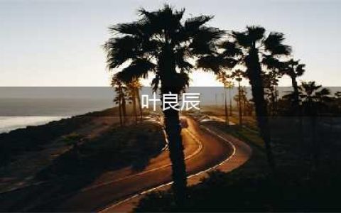 叶良辰是什么梗(叶良辰)