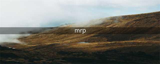 什么是MRP？(mrp)