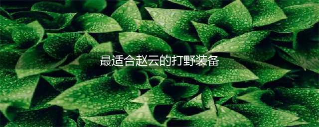 《王者荣耀》适合赵云的打野装备是什么 赵云出装推荐