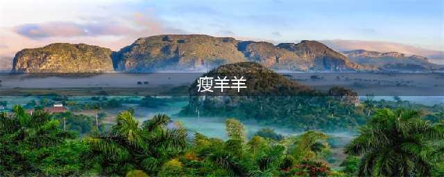 喜羊羊的功夫表哥瘦羊羊出场，酷似火影中的洛克李，引网友吐槽(瘦羊羊)