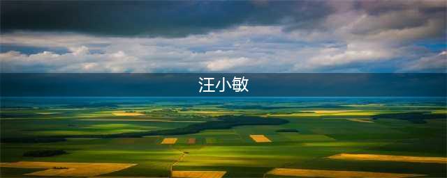 汪小敏整容前后照片对比（本身颜值就很高）(汪小敏)