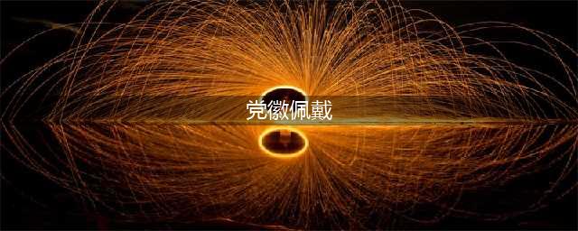 党徽应该这样佩戴！(党徽佩戴)