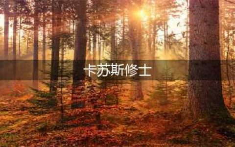 《魔兽世界怀旧服》暴风城材料商在哪 暴风城材料商位置分享(卡苏斯修士)