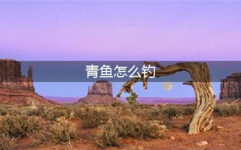 《龙珠Z卡卡罗特》青鱼怎么钓 青鱼钓法介绍(青鱼怎么钓)