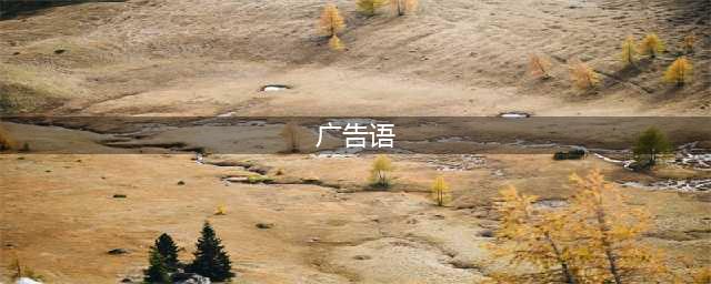 100个国内外经典广告语，句句皆艺术(广告语)
