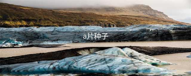 员工工作移动硬盘暗藏1T的A片种子，公司能否解雇？(a片种子)
