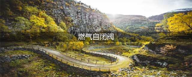 燃气自闭阀有什么用处？如何使用？关闭了如何手动恢复？(燃气自闭阀)