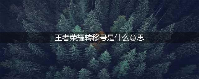 王者荣耀转移号是什么意思