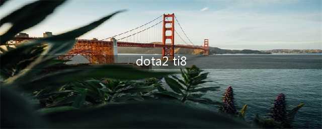 《DOTA2》TI8 VG 战队介绍(dota2 ti8)