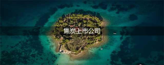 2022年中国焦炭行业重点企业洞析：山西焦煤VS陕西黑猫「图」(焦炭上市公司)