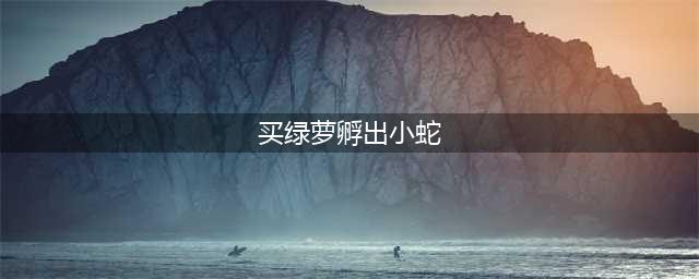 买绿萝孵出小蛇 网友：真是赚大发了(买绿萝孵出小蛇)