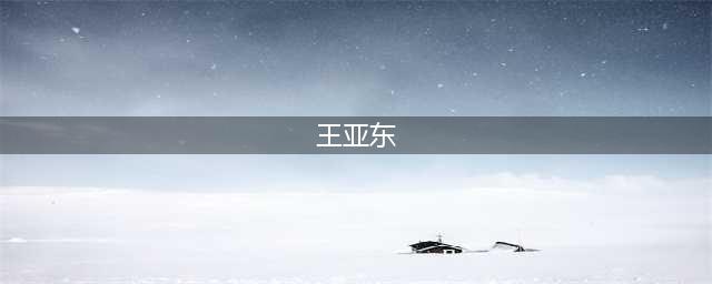 王亚东(王亚东)