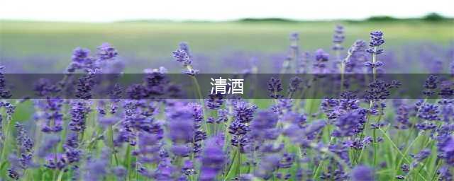 有生之年必喝的十大清酒，第1名竟然比拉菲还贵！(清酒)