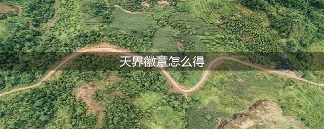 《泰拉瑞亚》天界徽章有什么用 天界徽章属性一览(天界徽章怎么得)