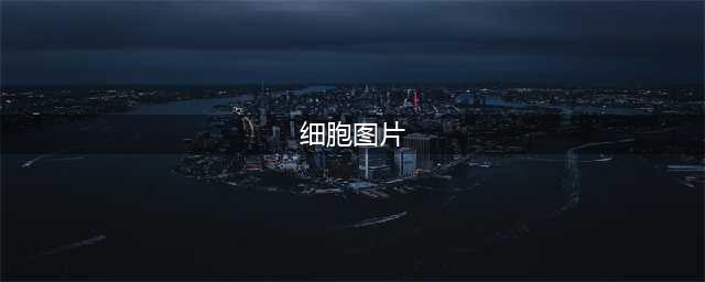 关于细胞，你一定要知道这些。（内附17种细胞器美图)(细胞图片)