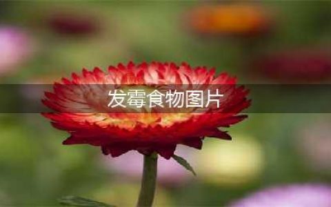 这些发霉的食物，竟然被他们拍得如此“美丽”！(发霉食物图片)