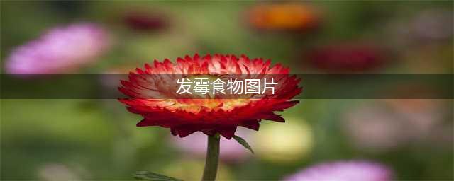 这些发霉的食物，竟然被他们拍得如此“美丽”！(发霉食物图片)