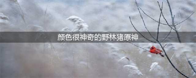 《原神》颜色很神奇的野林猪是什么