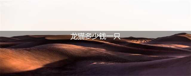 龙猫到底多少钱一只？(龙猫多少钱一只)