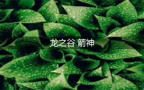 《龙之谷2》手游箭神技能怎么选择 箭神技能选择分享(龙之谷 箭神)