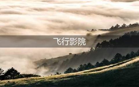 飞行影院风头正劲！国内6家供应商深入分析飞行影院未来的发展(飞行影院)