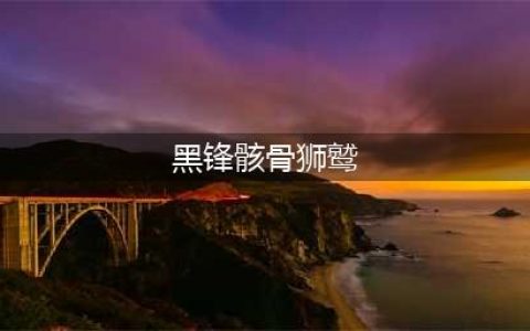 《魔兽世界》dk飞行坐骑购买位置详解