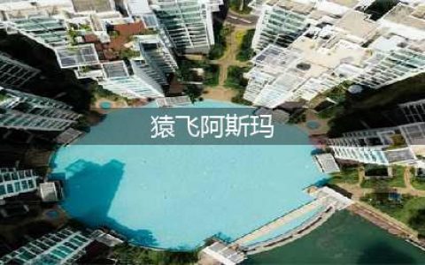 《火影忍者手游》袁飞阿斯玛什么样 袁飞阿斯玛图鉴属性介绍(猿飞阿斯玛)