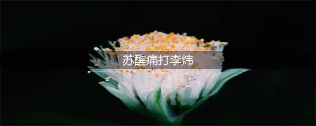 苏醒痛打李炜10年后，再看两人的境遇，到底谁才是赢家？(苏醒痛打李炜)