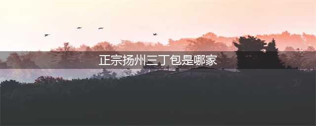 扬州百年字号早茶店，三丁包子备受追捧，老板：多亏加了这种配料(正宗扬州三丁包是哪家)