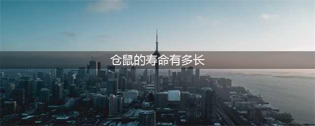 仓鼠的寿命有多久？告诉你3点死亡的征兆(仓鼠的寿命有多长)