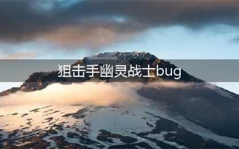狙击手幽灵战士3通关心得和常见的bug问题小结(狙击手幽灵战士bug)