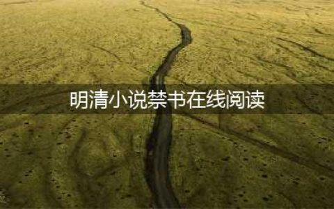 明清小说禁书几种：欲望、感官和艺术想象（随笔版）(明清小说禁书在线阅读)