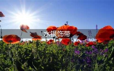 《LOL》水银是什么装备 水银装备介绍(水银饰带)