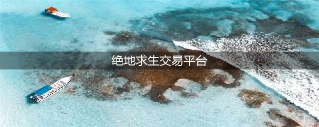 绝地求生交易平台哪个好 靠谱的绝地求生交易平台推荐(绝地求生交易平台)