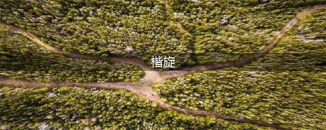楷旋演过的电视剧都有哪些？(楷旋)