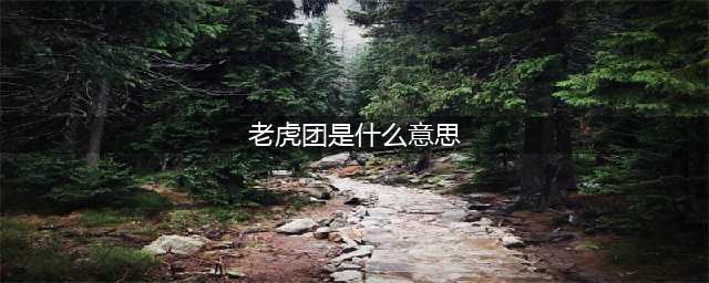 “老虎团”是个什么团？(老虎团是什么意思)