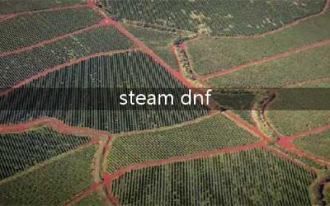 《DNF》如何在STEAM上玩DNF(steam dnf)