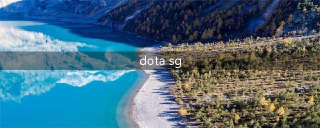《DOTA》SG论坛揭秘 究竟是游戏的蛆虫还是助力(dota sg)