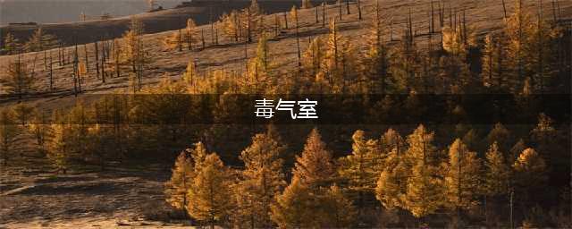 死亡循环岩岛毒气室怎么打开 岩岛毒气室打开技巧分享(毒气室)