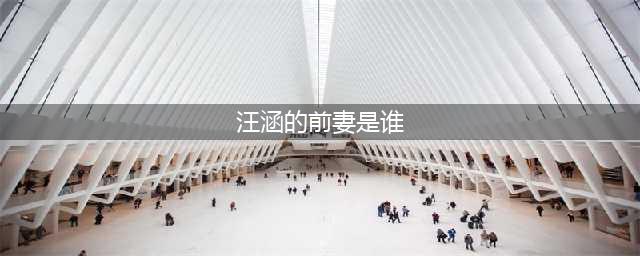 汪涵前妻林菁曝光 芒果台主播何炅杜海涛情史大曝光(汪涵的前妻是谁)