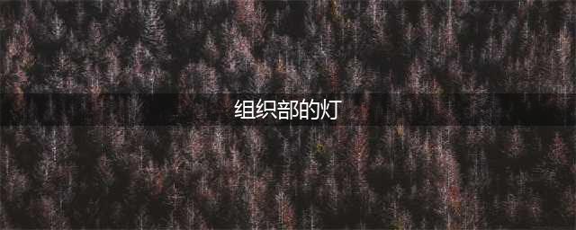 【荐读】组织部的灯(组织部的灯)